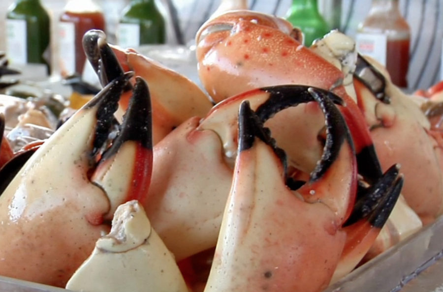 WE GOT CRABS KEYS FISHERMEN ARE CATCHING MORE & GETTING PAID MORE