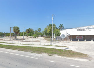 an empty street with palm trees in the background