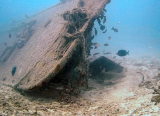a sunken boat in the ocean with fish around it