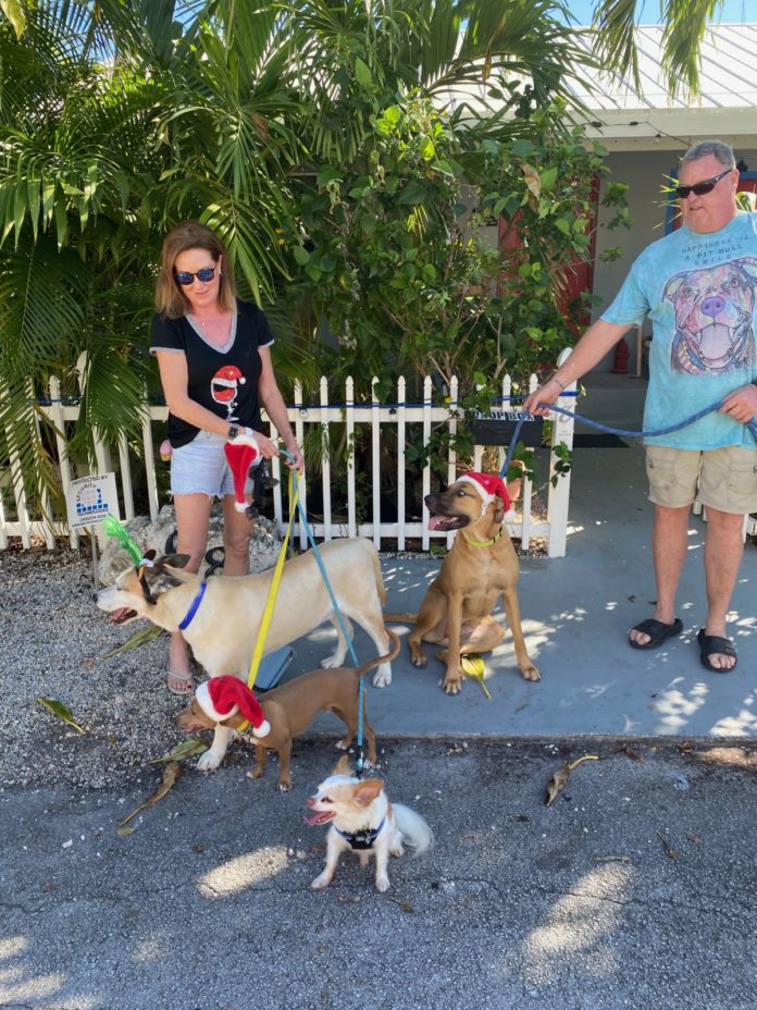 MarrVelous dogs wearing hats