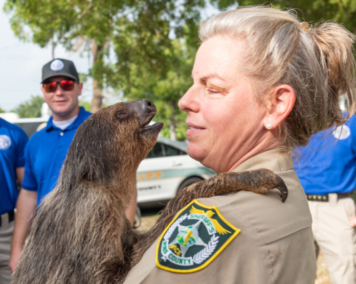 a woman holding a baby sloth in her arms
