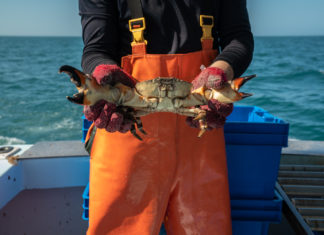 a man standing on a boat holding a crab