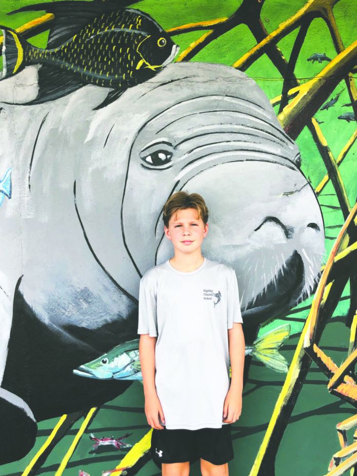 a boy standing in front of a painting of a fish