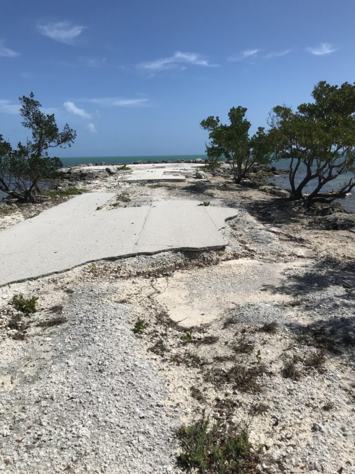 a sandy beach with trees and water in the background