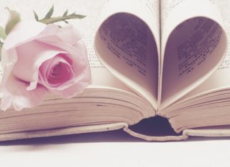 an open book with a pink rose on top of it