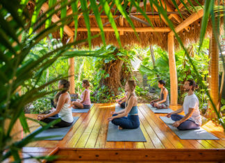 a group of people doing yoga in a garden