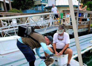 GARDEN CLUB HOSTS FUNDRAISER FOR KEY WEST WILDLIFE CENTER a group of people standing on a dock next to a body of water
