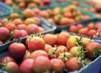 a close up of many baskets of tomatoes