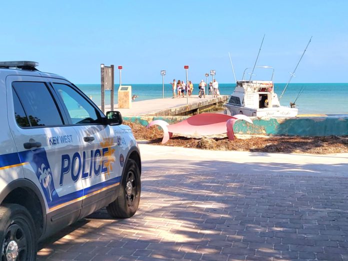 a police car parked on the side of the road