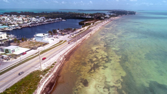 an aerial view of a city and a body of water
