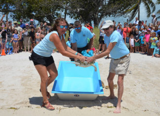 a group of people standing around a cooler on a beach