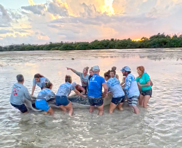 a group of people in a body of water