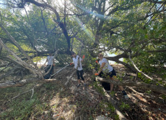 IN PICTURES: REAL ESTATE AGENTS TAKE TO COMMUNITY FOR CLEANUPS IN THE KEYS a group of people standing on top of a fallen tree
