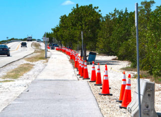a line of orange cones on the side of a road