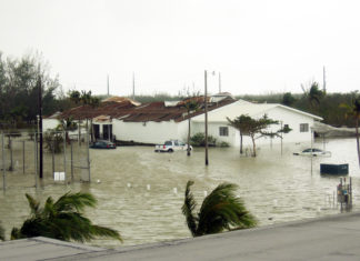 a flooded street with houses and palm trees