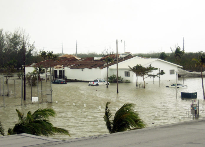 a flooded street with houses and palm trees