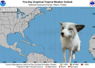 a white dog standing in front of a map of the world