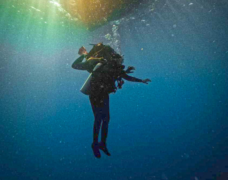 DIVE REPORT DIVEHEART HELPS ADAPTIVE DIVERS EXPERIENCE THE WATER