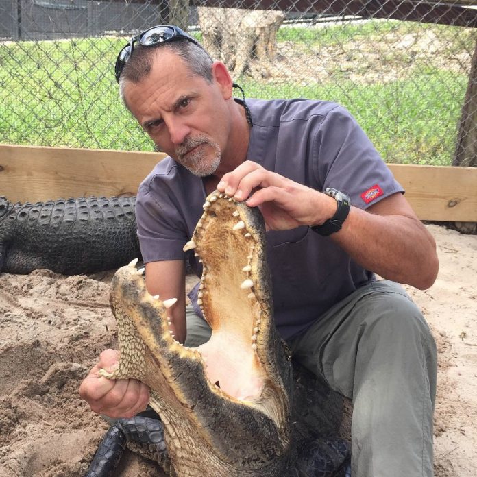 a man kneeling down next to a large alligator