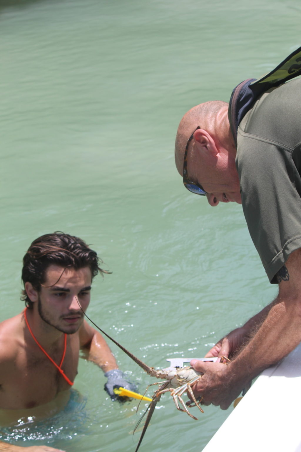 4 DEATHS & MULTIPLE ARRESTS DURING WEEK OF LOBSTER MINISEASON IN THE FLORIDA KEYS