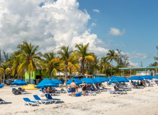 a beach with many blue umbrellas and chairs