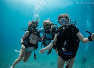 a group of people in scuba gear posing for a picture