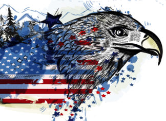 an eagle with the american flag painted on it