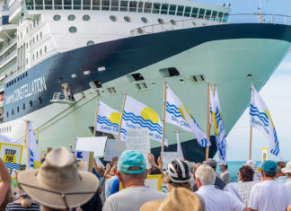 a large group of people standing in front of a cruise ship
