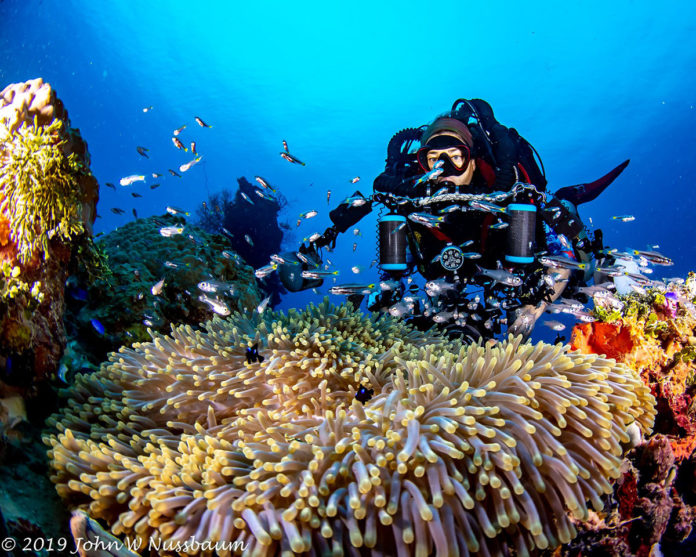 AutumnCoralbyJohnNussbaum a scuba diver swims over a coral reef