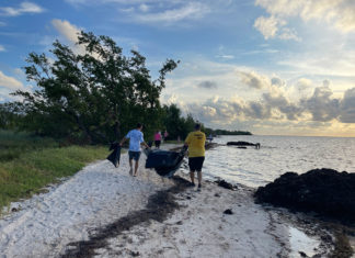 a group of people walking along a beach next to the ocean