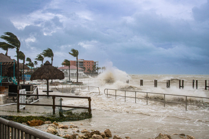 a view of a beach with waves crashing into the shore