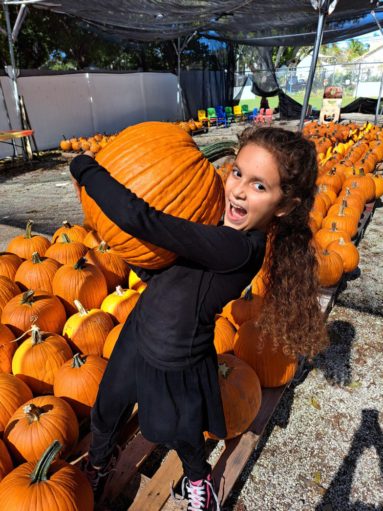 PICK UP YOUR PUMPKINS AT KEY WEST'S MARC HOUSE