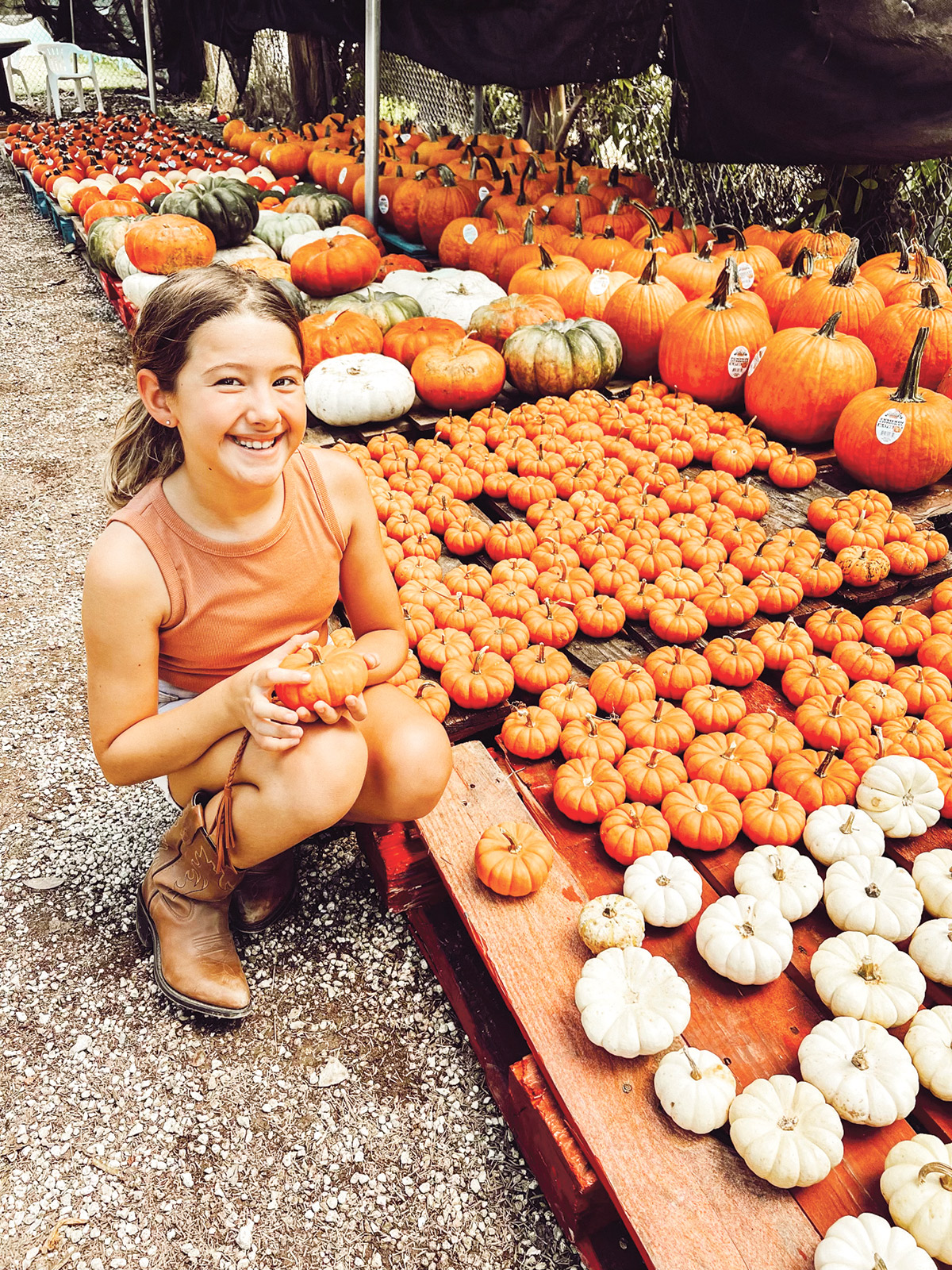 PICK UP YOUR PUMPKINS AT KEY WEST'S MARC HOUSE
