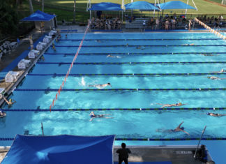 COLLEGE SWIMMERS SET TO COMPETE AT KEY LARGO SWIMMING POOL a large swimming pool with people swimming in it