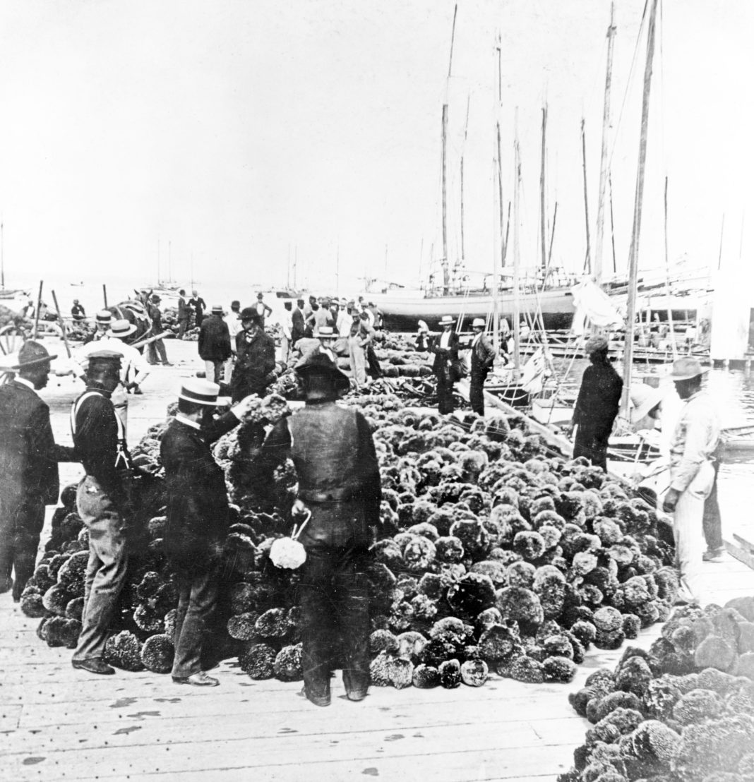 a group of men standing next to a pile of vegetables