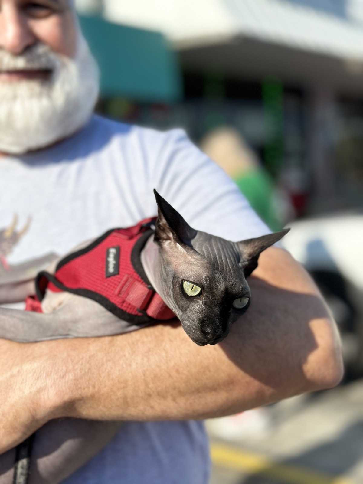 PETS MEET SANTA & OWNERS GRAB A PIÑA COLADA IN KEY LARGO