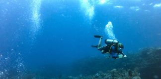 a scuba diver swimming over a coral reef