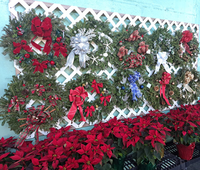 a bunch of poinsettis are hanging on a wall