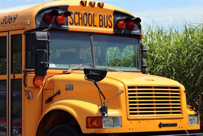 a school bus parked in front of a field of corn