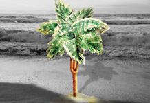 a palm tree made out of money on a beach