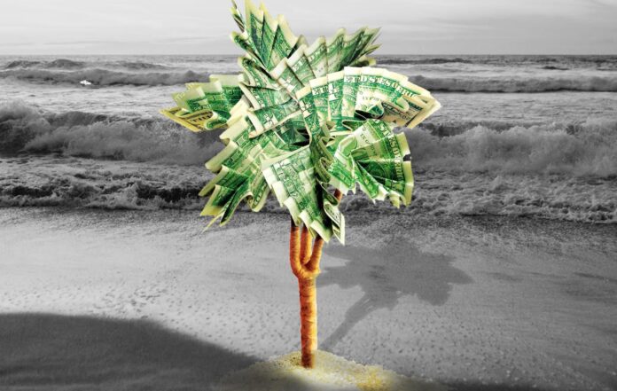 a palm tree made out of money on a beach