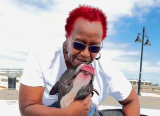 a woman with red hair and sunglasses holding a dog