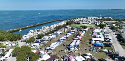 an aerial view of a camp site near the ocean