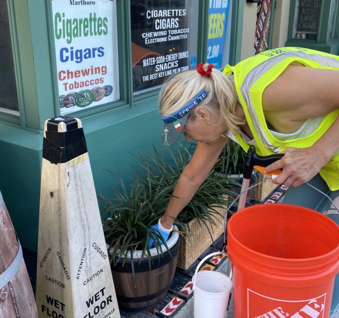 Roberta Large a woman in a yellow vest is painting a potted plant