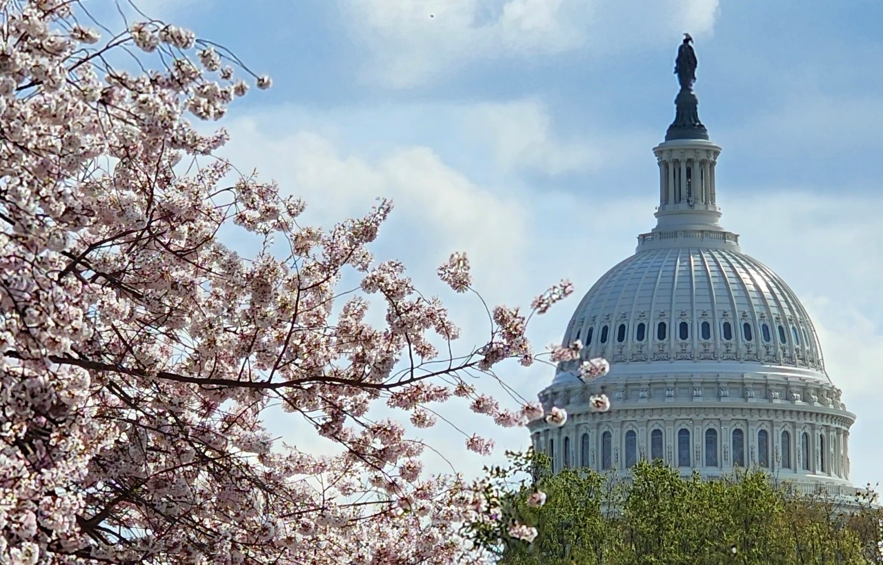 LEADERSHIP MONROE COUNTY CLASS XXX COMPLETES ADVOCACY MISSION ON CAPITOL  HILL