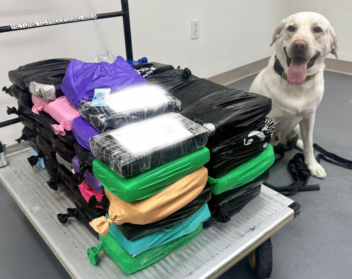 a dog is sitting on a luggage cart