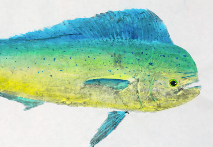a drawing of a blue and yellow fish