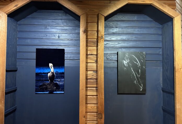 a couple of doors that have some pictures on them