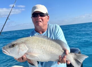 CAPTAIN JOEL’S FISHIN’ HOLES: MANGROVE SNAPPER ARE SET FOR THE SPAWN a man on a boat holding a fish