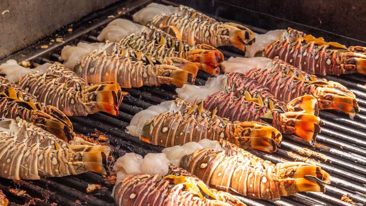 IN PICTURES LOBSTERFEST CELEBRATES THE START OF THE SEASON